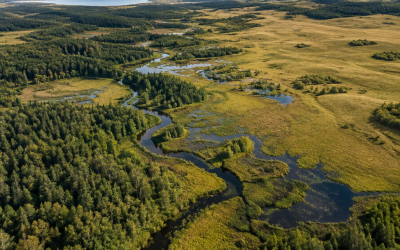 Ecological Land Classification
