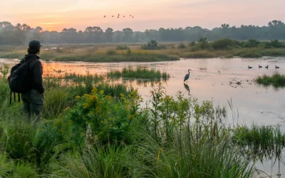 Environmental Ethics: Values, Nature, and Responsibility