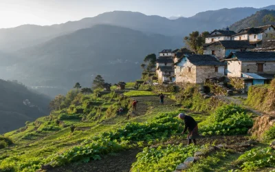What Is Human Geography? Definition, Examples, and Key Concepts